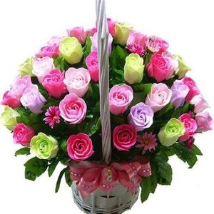 Meet your Posher, Maria